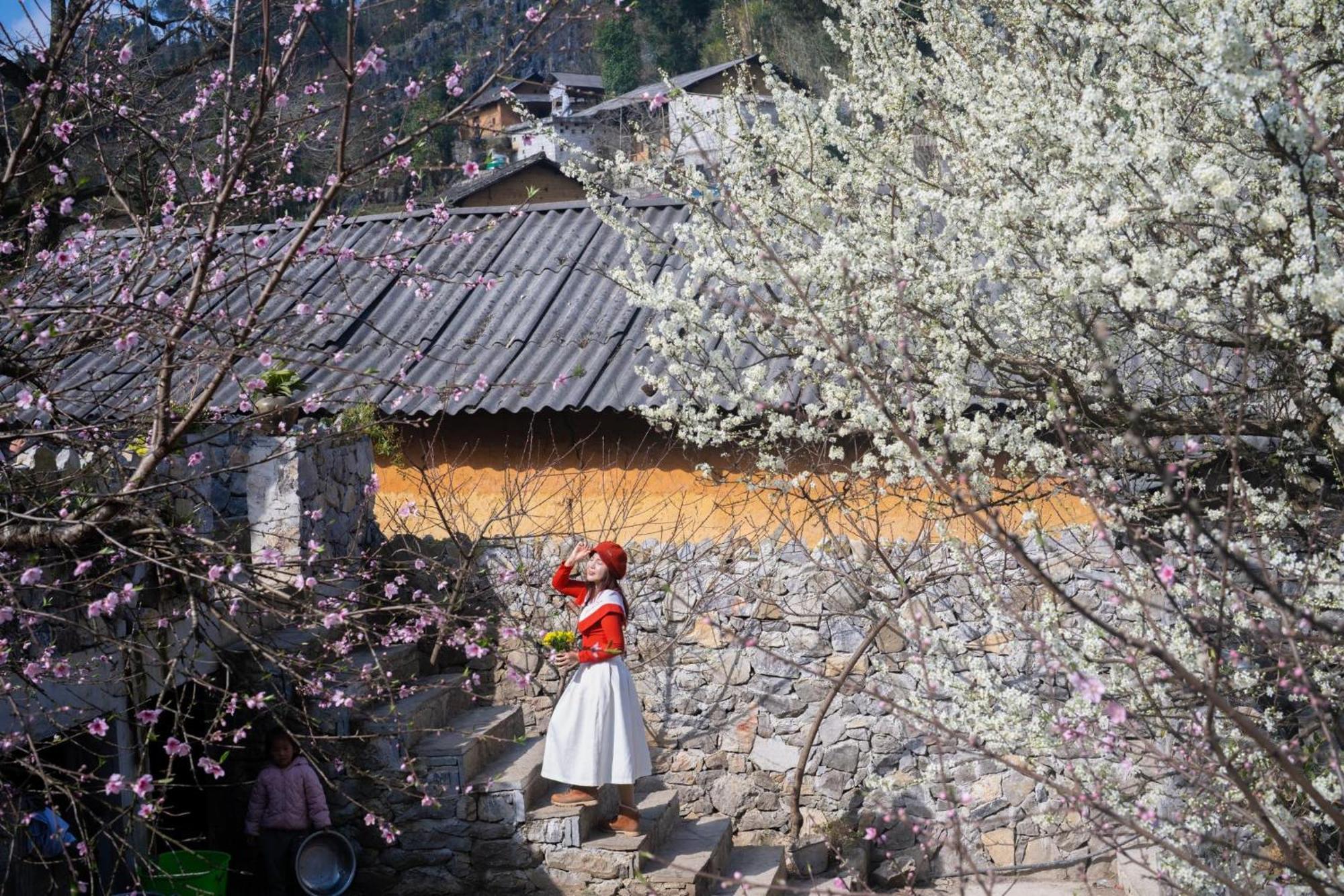 Nhà Cổ Lao Xa Hmong Séjour chez l'habitant Dong Van (Ha Giang)
