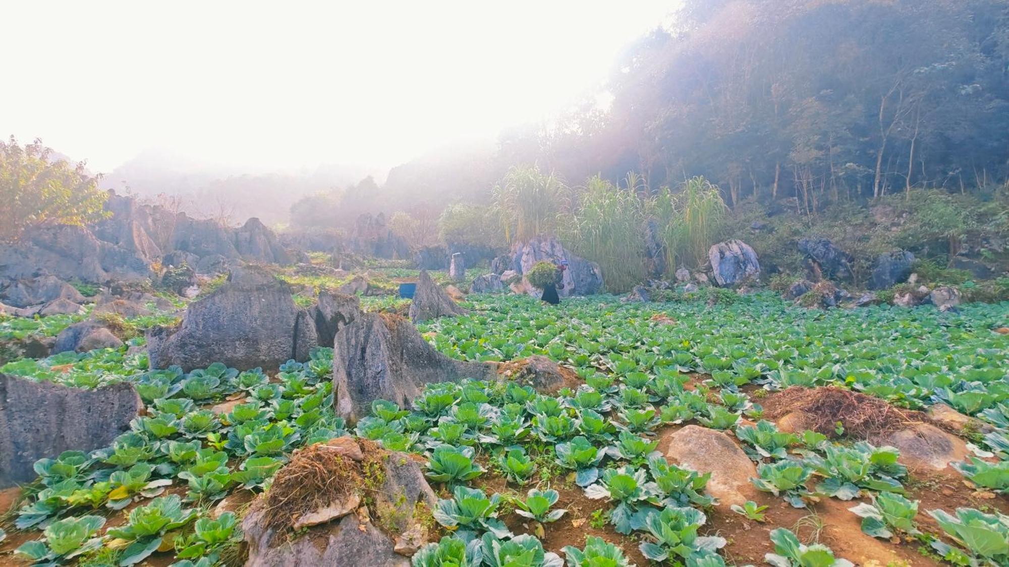 Nhà Cổ Lao Xa Hmong Séjour chez l'habitant