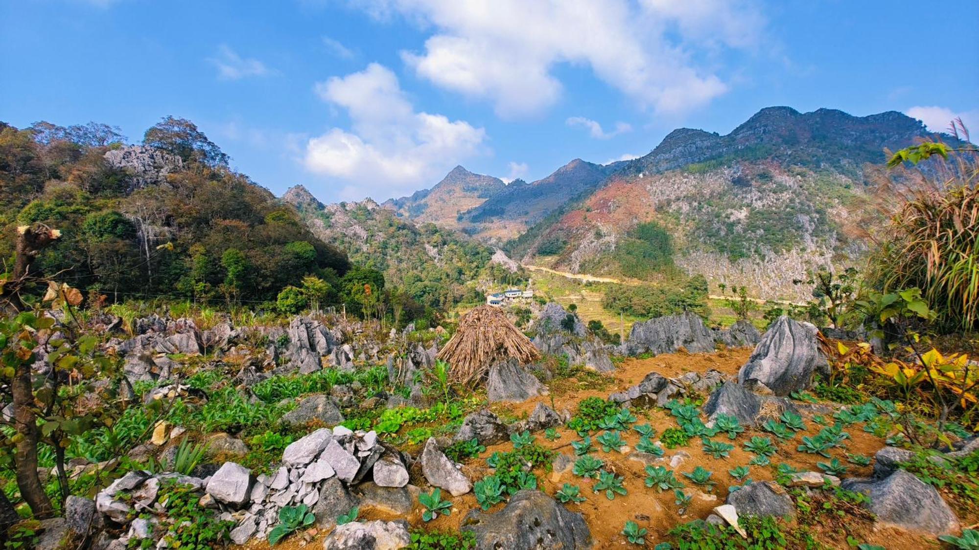 Nhà Cổ Lao Xa Hmong * Dong Van (Ha Giang)